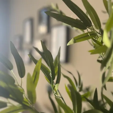 Tifi-maties Borumbot * カルプ