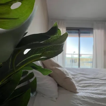 Tifi-maties Borumbot * Κάλπε