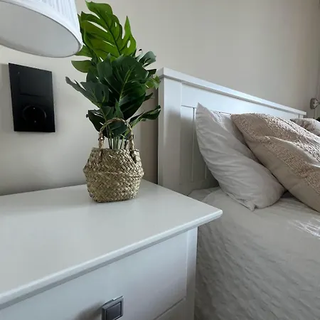 Tifi-maties Borumbot * Кальпе