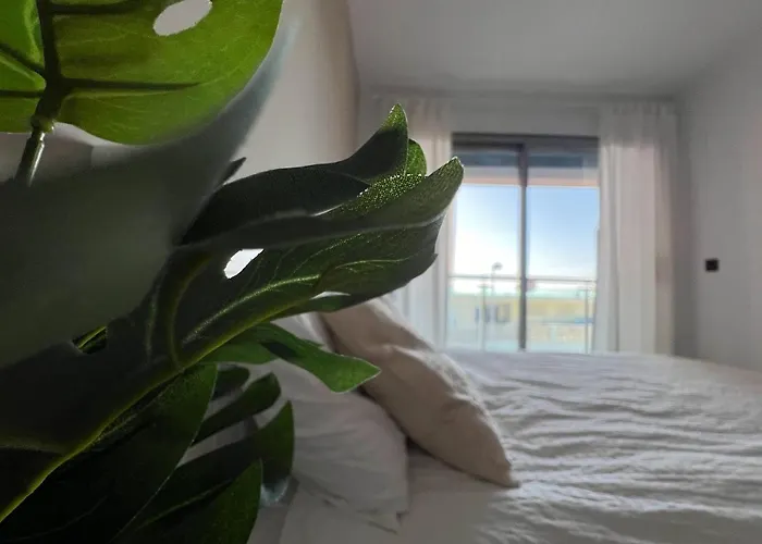 Tifi-maties Borumbot * Κάλπε