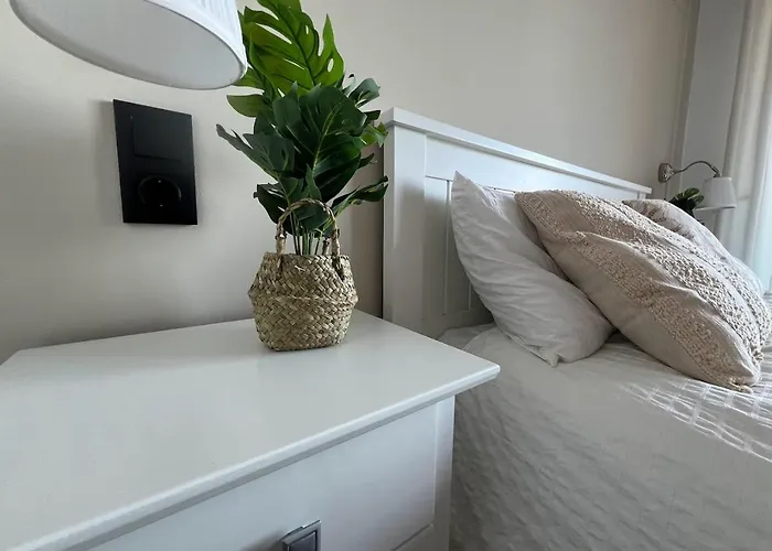 Tifi-maties Borumbot * Κάλπε